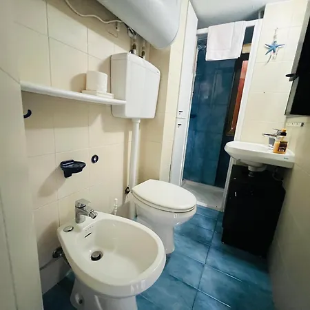 The Blue Nest -